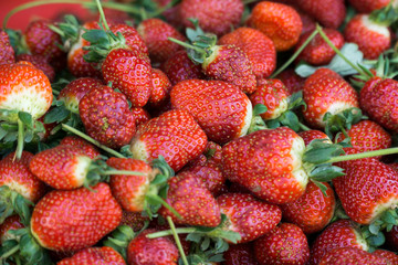 As shot fresh strawberry photo at market place