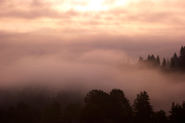 Foggy forest and cloudy sky in mountains. Morning sunrise through fog in forest. Beautiful nature scene.