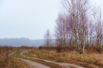 Fototapeta na wymiar Autumn morning in the forest. Field road in fog.