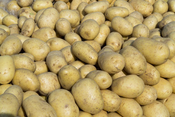 As shot fresh potato photo at market place