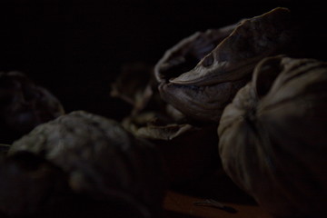 Soft focus close up of walnut shells in the darkness