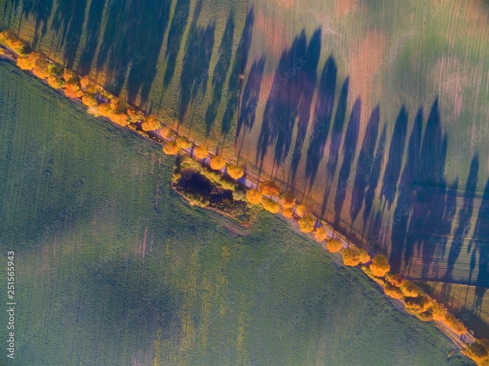 Poster aerial view of country road with colorful maple trees through the hilly terrain during the autumn se