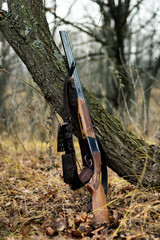 hunting rifle. the concept of hunting. hunting background