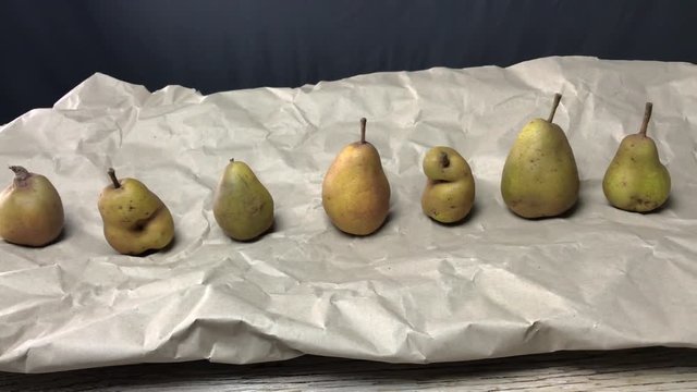 Kamera Fahrt entlang reifer Birnen auf Packpapier vor dunklem Hintergrund. &Ouml;kologische Fr&uuml;chte in nat&uuml;rlichen Formen, schief und krumm oder gerade und sch&ouml;n.
