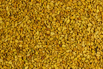 Background of the fenugreek seeds