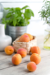 fresh apricots
