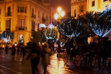 Fototapeta premium Plaza de la catedral de Sevilla