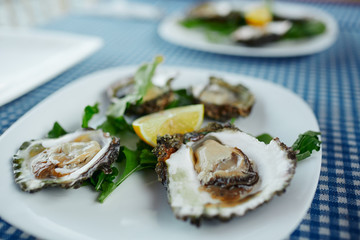 Fresh Oysters close-up on white plate, served table with oysters, lemon and green salad. Healthy sea food. Fresh Oyster dinner in restaurant. Gourmet food.