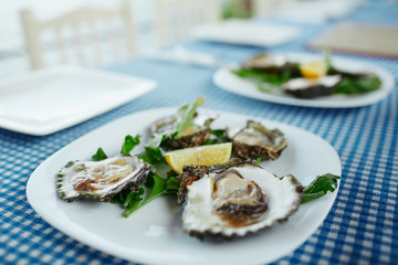 Platter of fresh raw oysters, green salad and lemon at an outdoor cafe