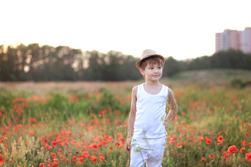 pretty brunette boy 4-5 years old in a straw hat in a poppy field in summer