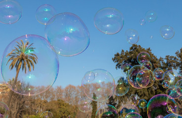 Bubble. Citadel Park. Color. Public. Balloons. Palm