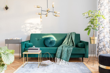 Stylish sunny decor of living room with design green velvet sofa, plants, design commode,...