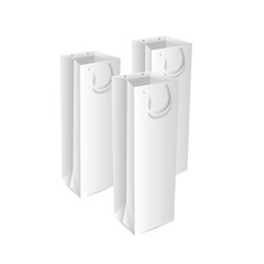 Paper bag mock up vector