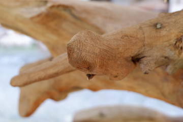 wood texture and wood root