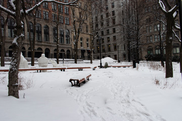 Le parc sous la neige