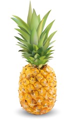Realistic pineapple on a white background close-up. Vector graphics. Fruits.