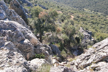 extremadura