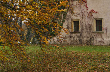 Fototapeta premium Autumn in the park near castle
