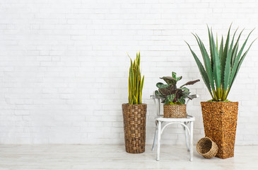 Houseplants and the chair over brick wall