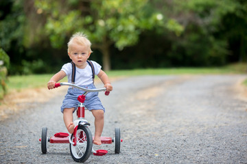 Cute toddler boy, playing with tricycle in backyard
