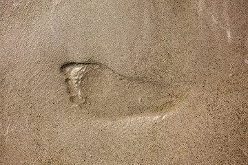 Footsteps in the sand