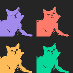 Cat with a raised paw black background close-up, frame set. Pop art style