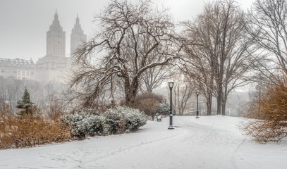 Central Park, New York City in winter