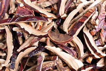 Dried Lingzhi mushroom Before make a drug