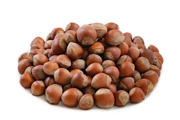 Hazelnut nut on white background