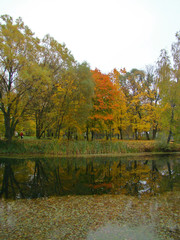 Beautiful rainy autumn view with a pond - 251586114