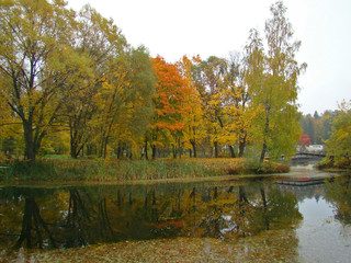 Beautiful rainy autumn view with a pond - 251586142