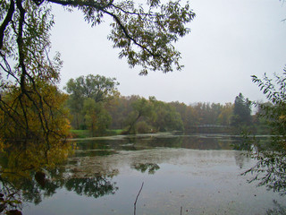 Beautiful rainy autumn view with a pond - 251586158