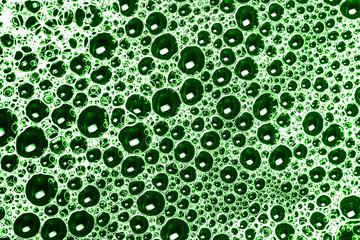 Green foam bubble texture. Color water washing suds pattern background.