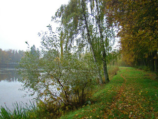 Beautiful rainy autumn view with a pond - 251586190