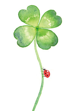 3 318 Best 四つ葉 Images Stock Photos Vectors Adobe Stock