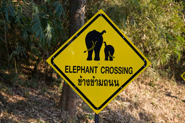 ELEPHANT CROSSING