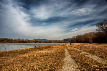 Fototapeta na wymiar Donauauen bei Hainburg, Österreich