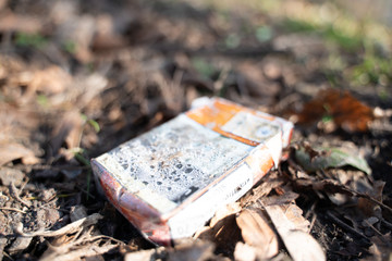 Cigarette Pack in Nature