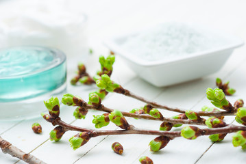 Beauty products and fresh leaf buds