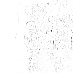 Grunge vector background