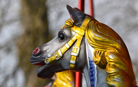 Carousel horse head close up 