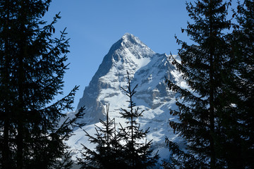 Eiger aus der Sicht von Mürren, Berneroberland, Schweiz