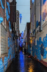 dark mystery blue alley light of chinatown, sydney australia