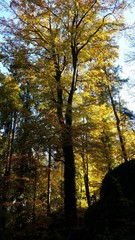 September Herbst in der Eifel