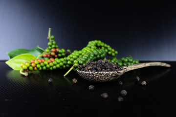 Fresh pepper and black pepper in wooden spoon on black background