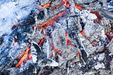 Garden Bonfire Burning wood