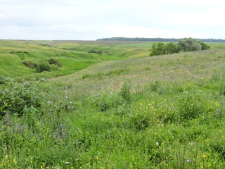 Obraz premium View of summer hills