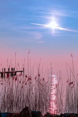Poster de jardin Bleu Paysage maussade. Fantastique coucher de soleil de couleur rose pendant le brouillard sur le lac de Garde, Italie.