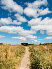 Fototapeta premium clouds 