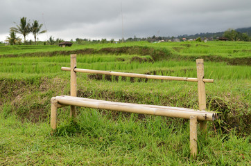 Jatiluwih rice terrace in Ubud, Bali